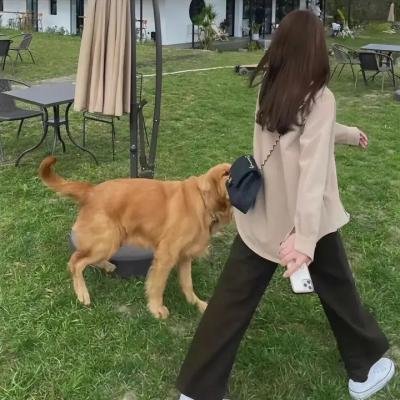 重生杀机